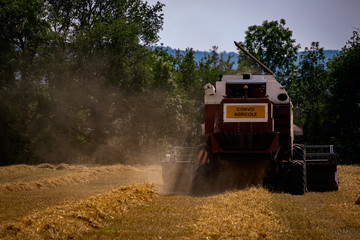 Fototapeta premium Dusty Combine harvested moving away from camera