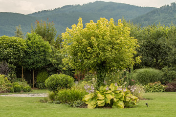 Ogród z widokiem na góry. Piękny ogród pełen drzew roślin zielonych - obrazy, fototapety, plakaty