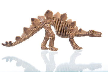 dinosaur skeleton figure isolated on white background