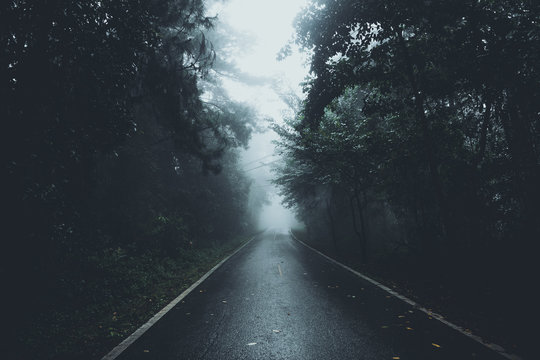 The road into the forest in the rainy season