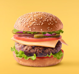 Delicious burger isolated on yellow