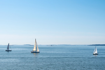 Sailing in the gulf of Finland in summer