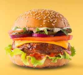 Delicious burger isolated on yellow