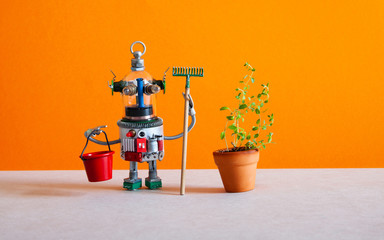 Automation gardening concept. The robotic gardener housekeeping assistant is holding a bucket and a...