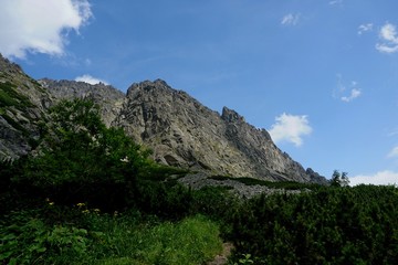 Beautiful High Tatras mountains landscape in  Slovakia near city Old Smokovec. sunny summer day