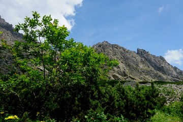 Fototapeta na wymiar Beautiful High Tatras mountains landscape in Slovakia near city Old Smokovec. sunny summer day