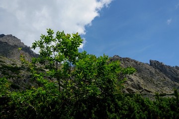 Beautiful High Tatras mountains landscape in  Slovakia near city Old Smokovec. sunny summer day