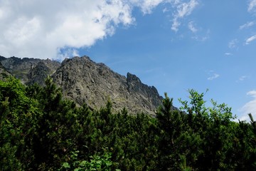 Beautiful High Tatras mountains landscape in  Slovakia near city Old Smokovec. sunny summer day