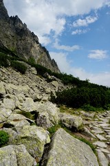 Beautiful High Tatras mountains landscape in  Slovakia near city Old Smokovec. sunny summer day