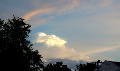 Obraz na płótnie Canvas Silhouette tree with clouds at sunset 