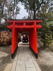 japanese tori gate on spring
