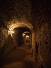 Obraz premium Abandoned ancient atmospheric spooky romantic frightening basement catacombs 