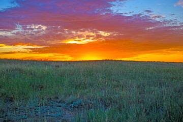 sunset over green field