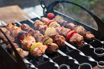 Grilled shish kebab or shashlik on skewers closeup