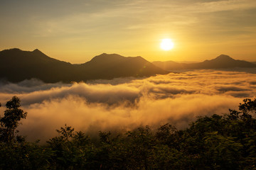Loei Thailand beautiful sunrise foggy scene and mountain view.