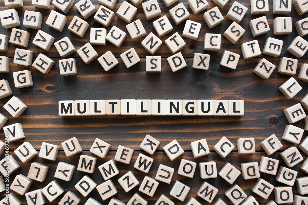 Poster multilingual - word from wooden blocks with letters, use many different languages multilingual conce