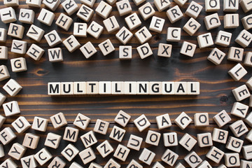 multilingual - word from wooden blocks with letters, use many  different languages multilingual...