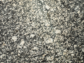 Marble monochrome panel texture