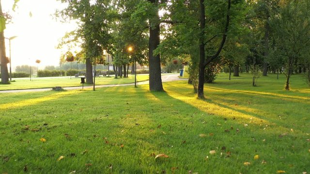 4k Uninhabited alleys, in the morning fresh central park of Bucha