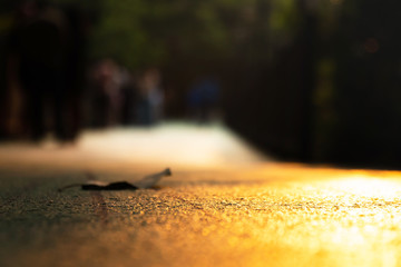 Low angle shot of street with beautiful sunset shade. Copy space and background.