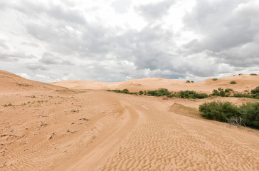 Fototapeta na wymiar Bayan Gobi Sand Dunes, Mongolia
