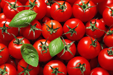Delicious ripe cherry tomatoes and basil leaves as background, top view