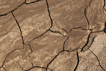 Cracked ground surface as background, top view