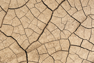 Cracked ground surface as background, top view