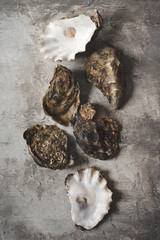 Fresh oysters on a textured stone background