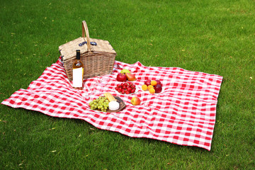 Picnic basket with products and bottle of wine on checkered blanket in garden