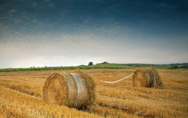 Sianokosy Na Polach Warmii  © Wojciech Lisiński