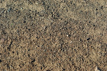 Stone desert at golden hour of sunset.