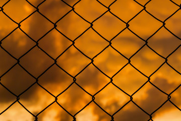 Grid with blurred golden sunset sky behind as background