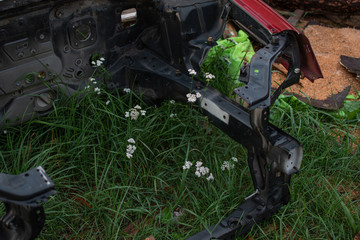 Disassembled car in nature