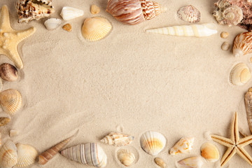 Fototapeta na wymiar Flat lay composition with beautiful starfishes and sea shells on sand, space for text