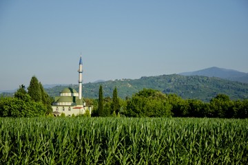 Mosque in a field