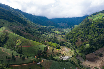 Fototapeta premium Terraced rice paddy field in Chiang Mai, Thailand.