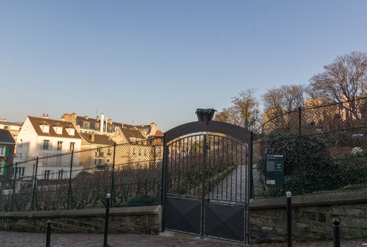 Vigne du Clos Montmartre &agrave; Paris, France