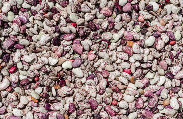 Homegrown fresh organic homegrown Lima Bean, Butter Bean. Colorful assortment of wholesome, nutritious, delicious fiber and protein filled food.