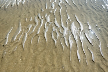Marcas de agua en arena de playa