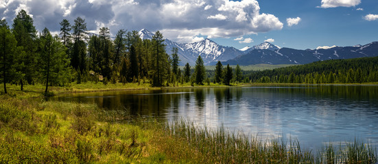 Ulagan lake Cicely, Altai, Russia, June