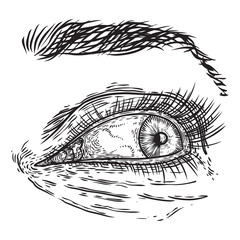 Hand drawn woman eye with iris, eyebrows and full lashes. Makeup salon design element. Vector.
