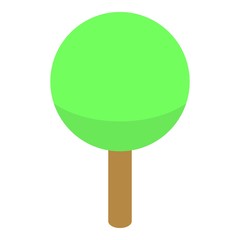 Park tree icon. Isometric of park tree vector icon for web design isolated on white background