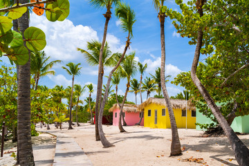 Colorful houses on Catalina beach, dominican republic with palm trees - obrazy, fototapety, plakaty