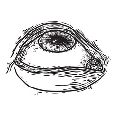 Hand drawn human eye with iris. Anatomy of vision organ element. Makeup salon design element. Vector.