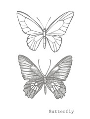 Butterflies silhouettes. Butterfly icons isolated on white background. Graphic illustration