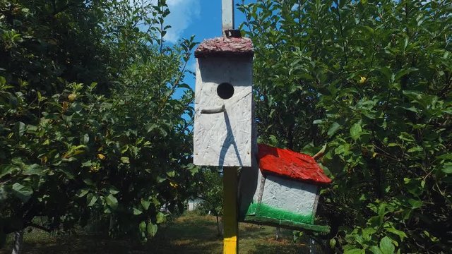 Painted birdhouses attached to a poll in the garden orchard