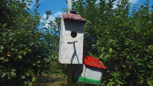 Painted birdhouses with differing design attracting songbirds to a garden