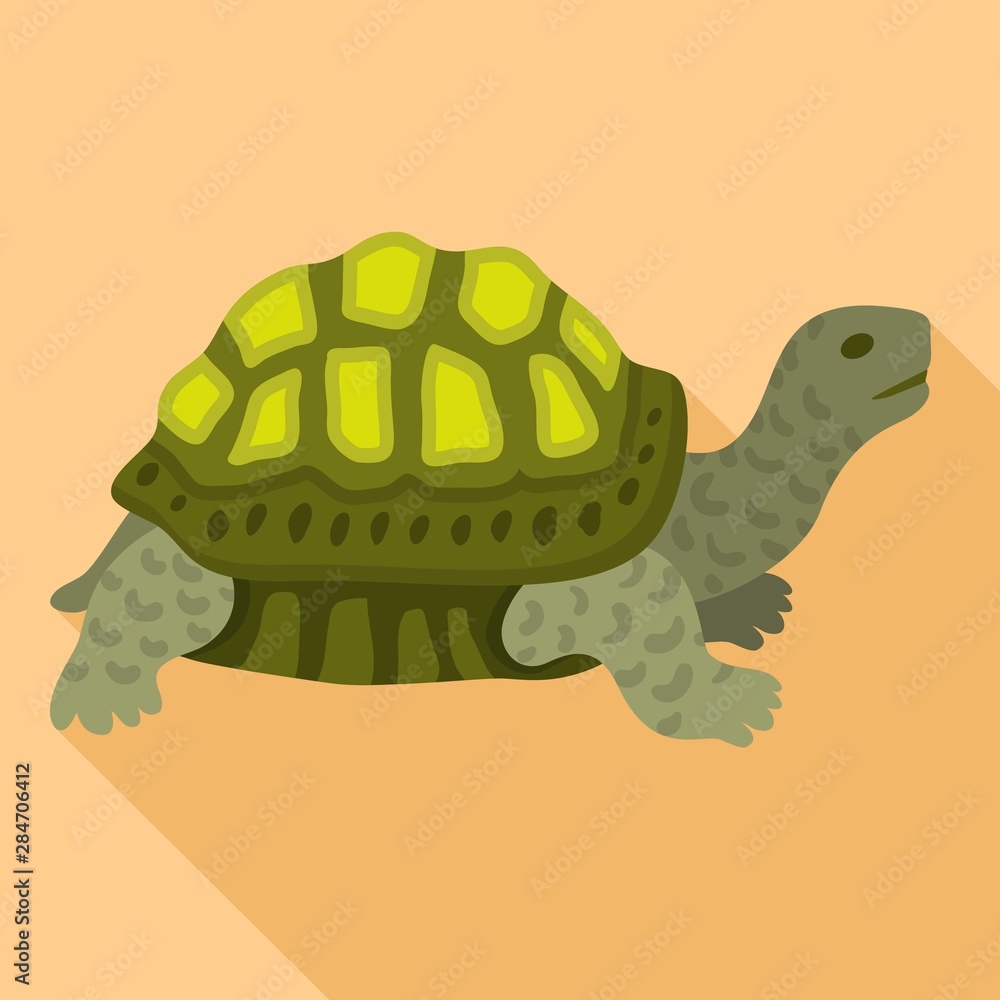 Aufkleber old turtle icon. flat illustration of old turtle vector icon for web design