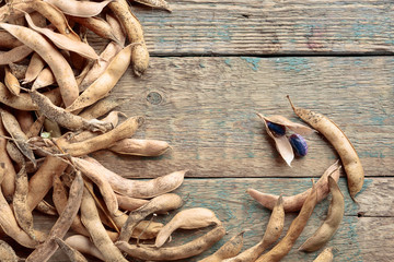 Dry bean pods with beans on a old wooden background .